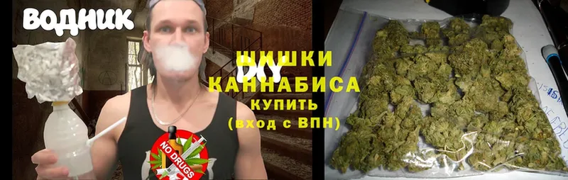 Марихуана OG Kush  Камень-на-Оби 